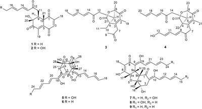 Sorbicillinoid Derivatives From Sponge-Derived Fungus Trichoderma reesei (HN-2016-018)